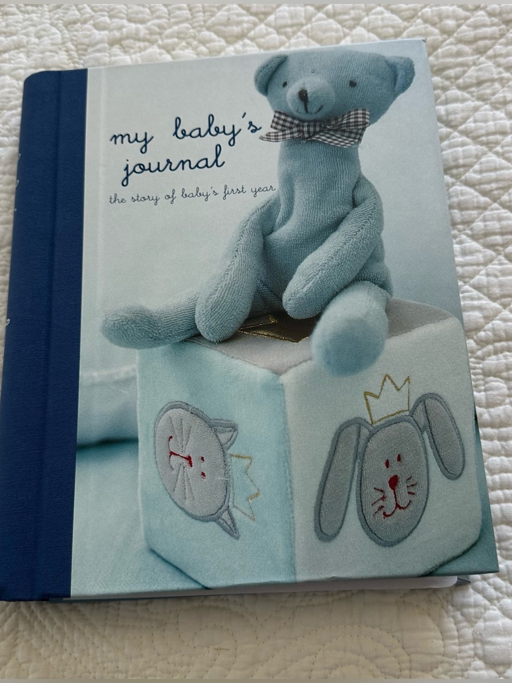 My Baby's Journal: The Story of Baby's First Year